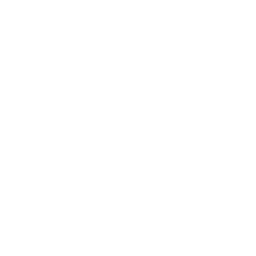 Imagen Desarrollador